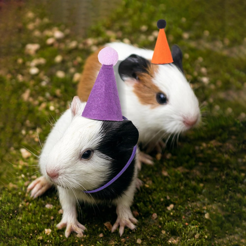12Pcs Mini Party Hats for Stuf - مراجعة Party Hat Cone وسعره
